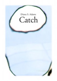 Catch cover